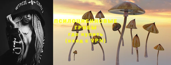 СК Киреевск
