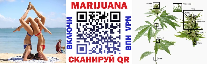 Конопля сатива  Купить где  Лесосибирск 